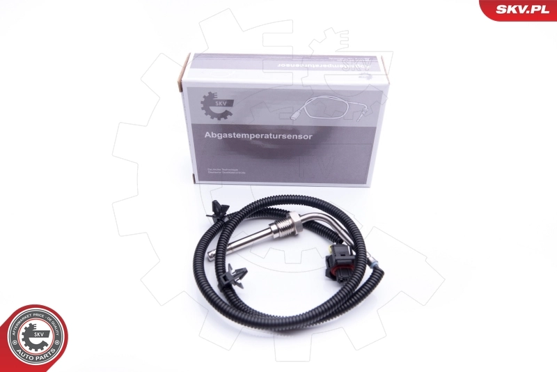 Sensor, exhaust gas temperature